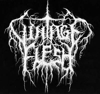 logo Vintage Flesh